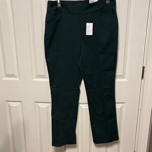 Croft & Barrow The Effortless Stretch Plus Pant